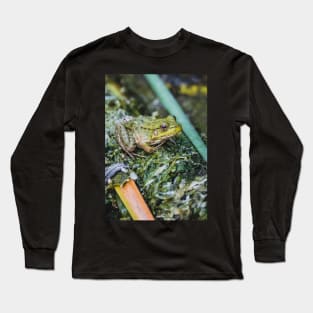 Green Frog, Green Cloak Photograph Long Sleeve T-Shirt